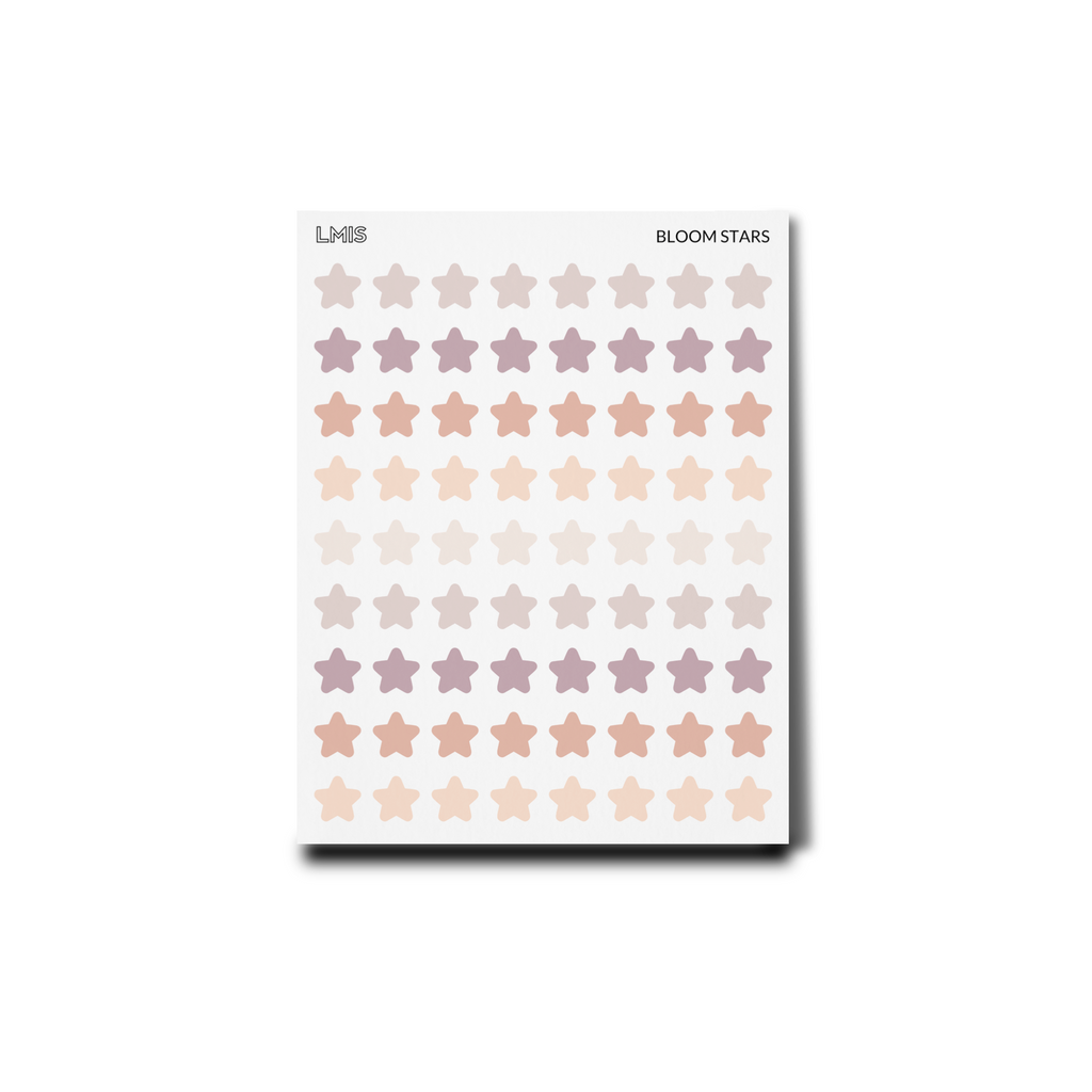 Bloom Frosted Transparent Star Stickers